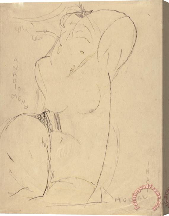 Amedeo Modigliani Anadiomena Stretched Canvas Print / Canvas Art