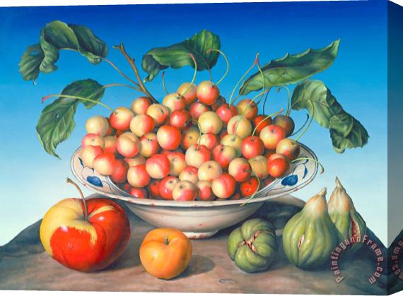 Amelia Kleiser Cherries in Delft bowl with red and yellow apple Stretched Canvas Print / Canvas Art