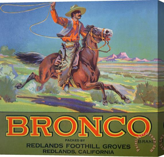 American School Bronco Oranges Stretched Canvas Painting / Canvas Art