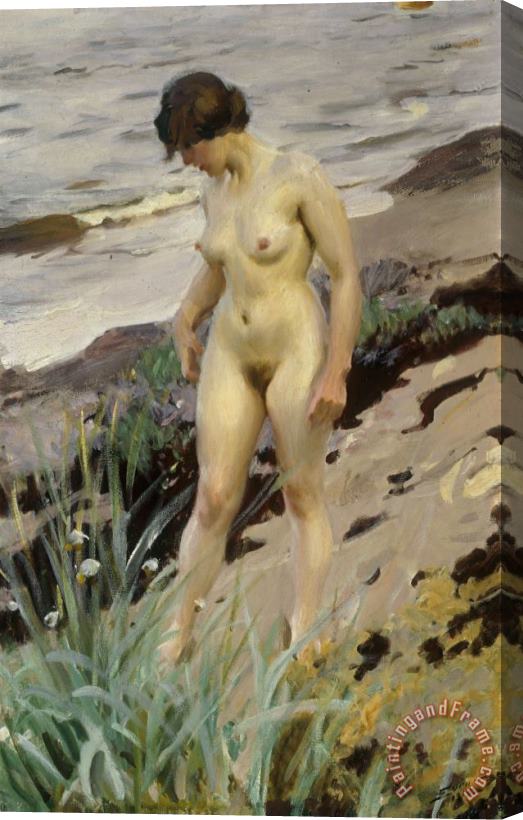 Anders Leonard Zorn Sandhamn Study Stretched Canvas Painting / Canvas Art