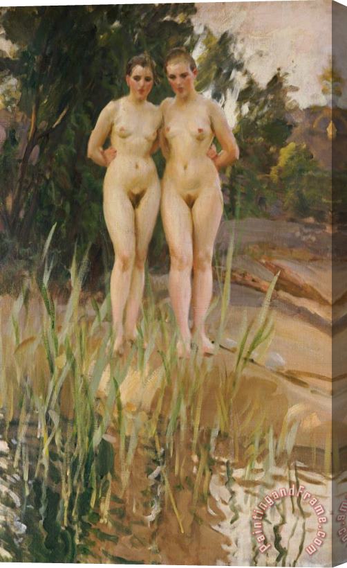 Anders Leonard Zorn Two Friends Stretched Canvas Painting / Canvas Art