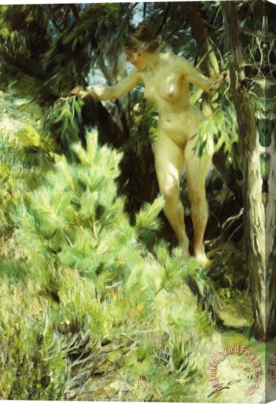 Anders Leonard Zorn Wood-sprite Stretched Canvas Print / Canvas Art