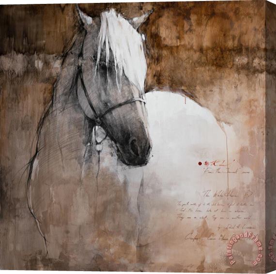 Andre Kohn The White Horse, 2019 Stretched Canvas Print / Canvas Art