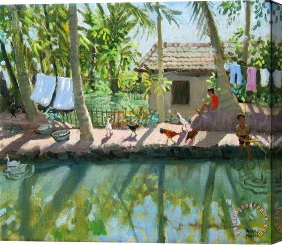 Andrew Macara Backwaters India Stretched Canvas Print / Canvas Art
