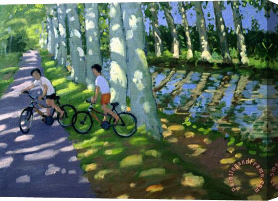 Andrew Macara Canal du Midi France Stretched Canvas Print / Canvas Art