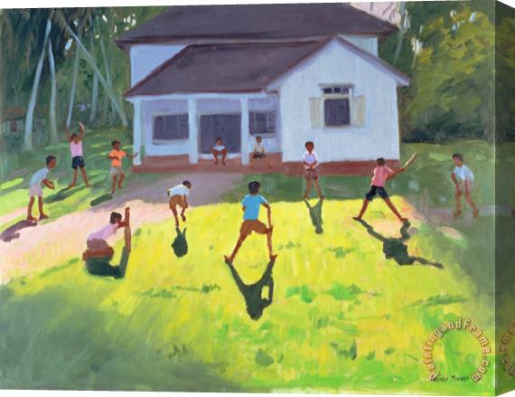 Andrew Macara Cricket Stretched Canvas Print / Canvas Art