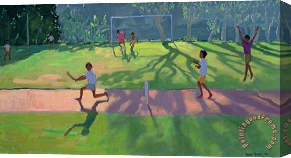 Andrew Macara Cricket Sri Lanka Stretched Canvas Painting / Canvas Art