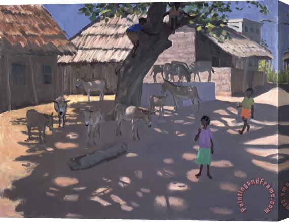 Andrew Macara Donkeys Lamu Kenya Stretched Canvas Painting / Canvas Art