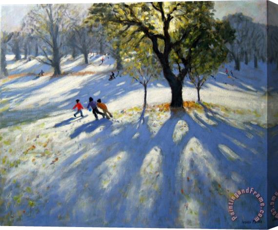 Andrew Macara Markeaton Park early snow Stretched Canvas Print / Canvas Art
