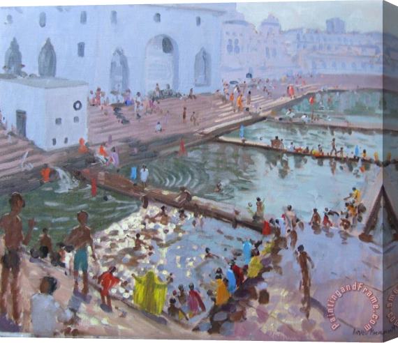 Andrew Macara Pushkar ghats Rajasthan Stretched Canvas Print / Canvas Art