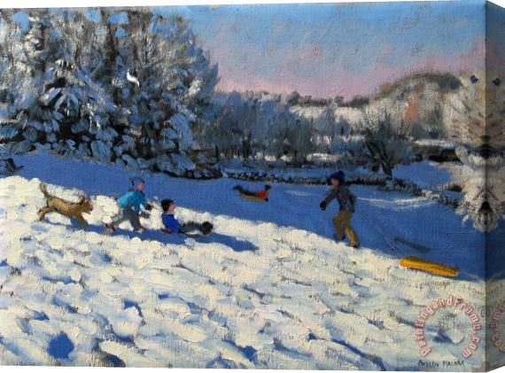 Andrew Macara Sledging Near Youlgreave Stretched Canvas Print / Canvas Art