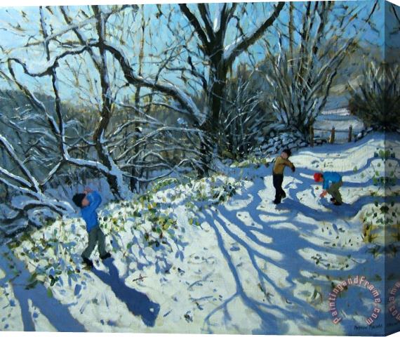 Andrew Macara Snowball fight Stretched Canvas Print / Canvas Art