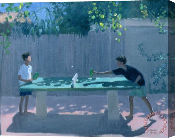 Andrew Macara Table Tennis Stretched Canvas Print / Canvas Art