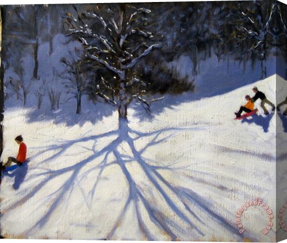 Andrew Macara Tree and two tobogganers Stretched Canvas Painting / Canvas Art