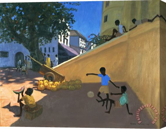 Andrew Macara Water Melons Stretched Canvas Print / Canvas Art