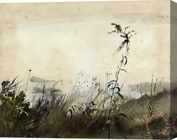 andrew wyeth A River Fog 1950 Stretched Canvas Print / Canvas Art
