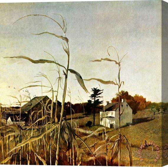 andrew wyeth Autumn Cornfield October 1 1950 Stretched Canvas Print / Canvas Art