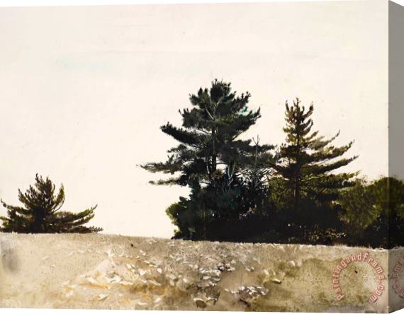 andrew wyeth Cutler Cove, Study for Sandspit, 1953 Stretched Canvas Print / Canvas Art