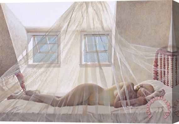 andrew wyeth Day Dream 1980 Stretched Canvas Painting / Canvas Art