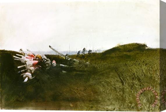 andrew wyeth Field Sparrow 1968 Stretched Canvas Print / Canvas Art