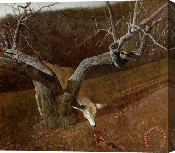 andrew wyeth Jacklight 1980 Stretched Canvas Painting / Canvas Art
