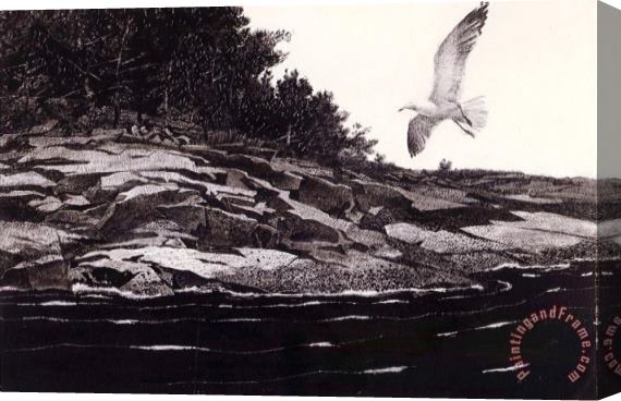 andrew wyeth Ledge on Huppers Island Stretched Canvas Print / Canvas Art