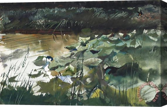 andrew wyeth Lily Pads, 1954 Stretched Canvas Painting / Canvas Art