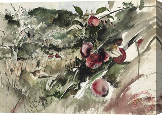 andrew wyeth Picking Apples, 1945 Stretched Canvas Painting / Canvas Art