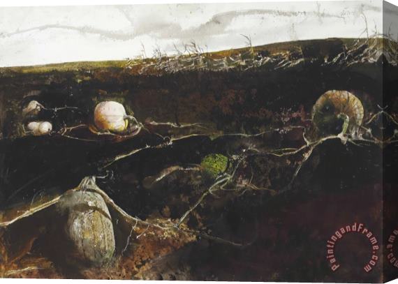 andrew wyeth Pumpkin Hill, 1977 Stretched Canvas Painting / Canvas Art