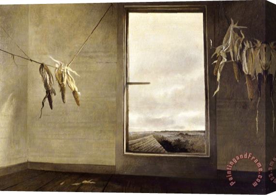 andrew wyeth Seed Corn Stretched Canvas Print / Canvas Art