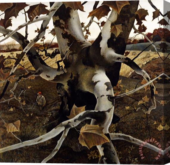 andrew wyeth Sycamore Tree And Hunter October 16 1943 Stretched Canvas Print / Canvas Art