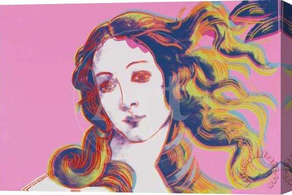 Andy Warhol Birth of Venus in Pink Stretched Canvas Painting / Canvas Art