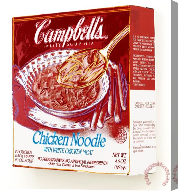 Andy Warhol Campbell's Soup Box: Chicken Noodle Stretched Canvas Print / Canvas Art
