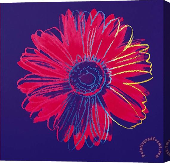 Andy Warhol Daisy C 1982 Blue And Red Stretched Canvas Print / Canvas Art