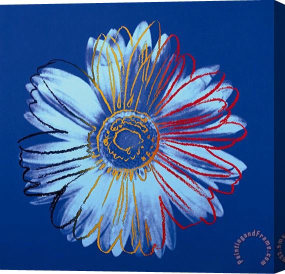 Andy Warhol Daisy C 1982 Blue on Blue Stretched Canvas Print / Canvas Art