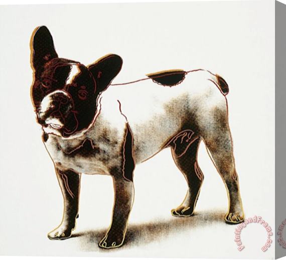 Andy Warhol Dog C 1986 Stretched Canvas Print / Canvas Art