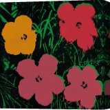 Stretched Canvas Print Stretched Canvas Print