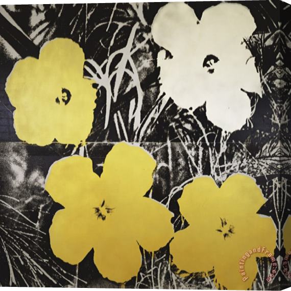 Andy Warhol Flowers Yellow And White C 1966 Stretched Canvas Print / Canvas Art