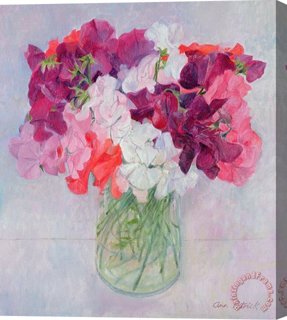 Ann Patrick Sweet Peas Stretched Canvas Painting / Canvas Art