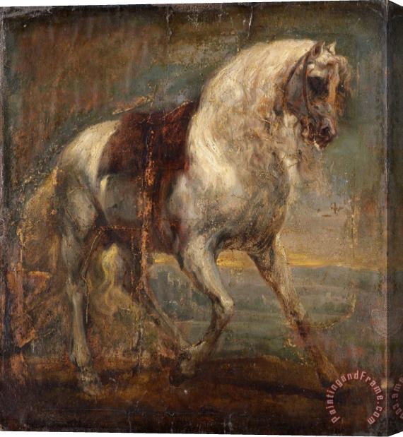 Anthonie Van Dyck A Grey Horse Stretched Canvas Painting / Canvas Art