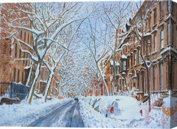 Anthony Butera Snow Remsen St. Brooklyn New York Stretched Canvas Print / Canvas Art