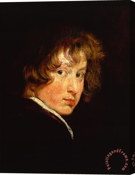 Anthony van Dyck Self Portrait At Sixteen Stretched Canvas Print / Canvas Art