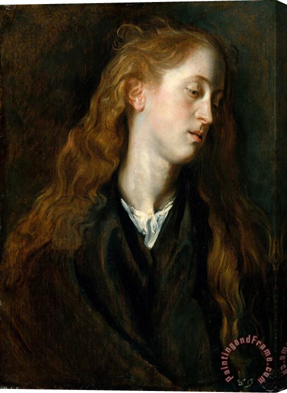 Anthony van Dyck Study Head of a Young Woman Stretched Canvas Painting / Canvas Art