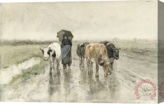 Anton Mauve A Herdess with Cows on a Country Road in The Rain Stretched Canvas Painting / Canvas Art