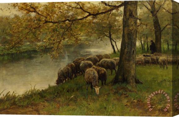 Anton Mauve Sheep Watering by a River Stretched Canvas Print / Canvas Art