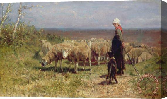 Anton Mauve Shepherdess Stretched Canvas Print / Canvas Art