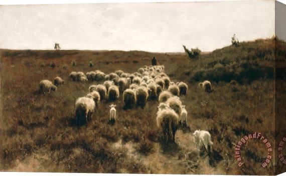 Anton Mauve The Return of The Flock, Laren Stretched Canvas Painting / Canvas Art