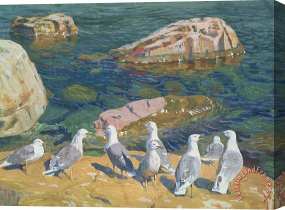 Arkadij Aleksandrovic Rylov Seagulls Stretched Canvas Print / Canvas Art
