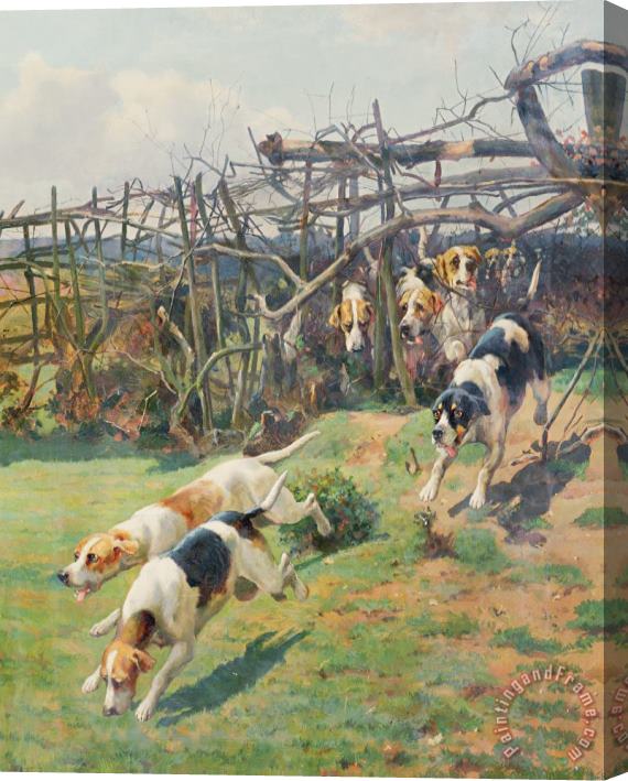 Arthur Charles Dodd Through the Fence Stretched Canvas Painting / Canvas Art