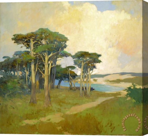 Arthur Frank Mathews Monterey Cypress, California Stretched Canvas Print / Canvas Art